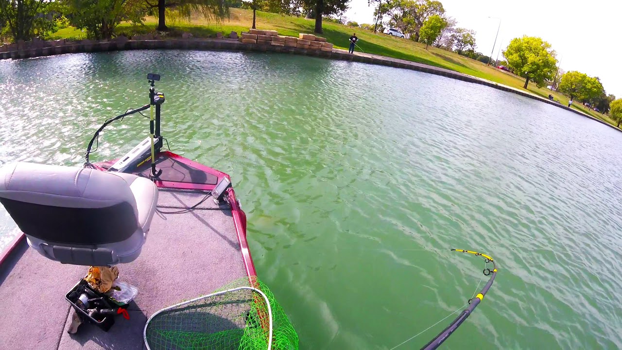 SALMON FISHING CHICAGO. LIKE AND SUBSCRIBE YouTube