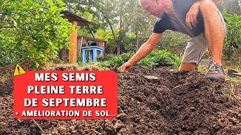 Septembre au potager - Saison 2024