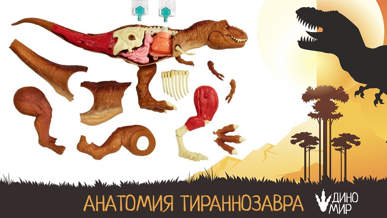 Генератор имен динозавров