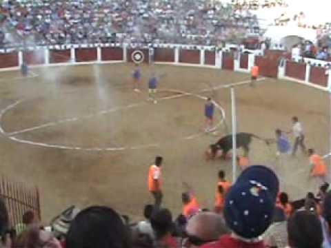 futbol-vaca2