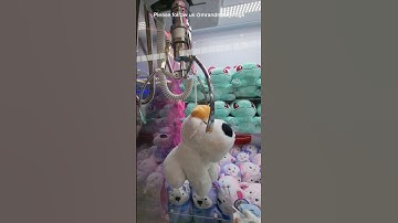 Claw missed the plush but caught the string! #clawmachine #arcade #plushies #quantum #qcrane #cute