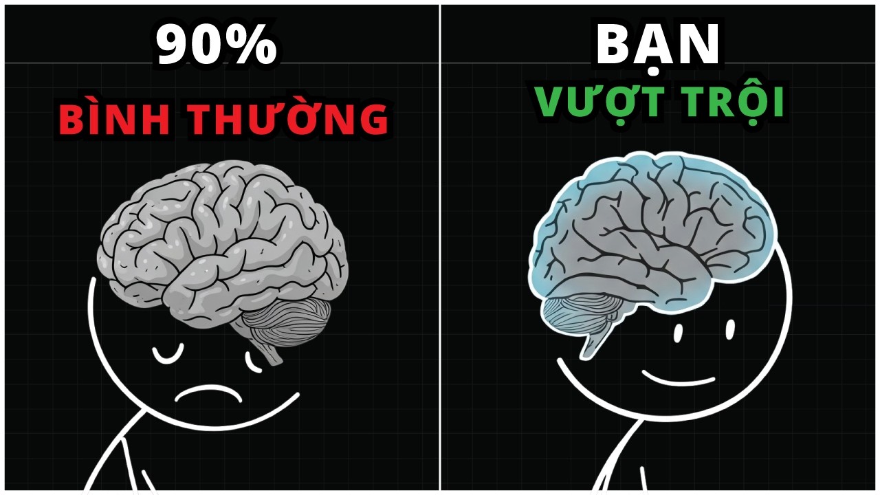 6 nguyên tắc đơn giản giúp bạn trở thành phiên bản VƯỢT TRỘI mỗi ngày (Nhanh hơn 90% người khác!)
