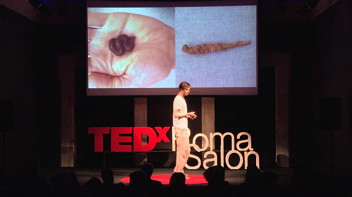 Ideas Worth Forgetting | Daniel Sinsel | TEDxRomaS...