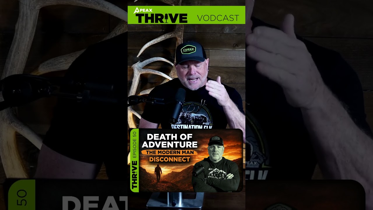 Где-то по пути мы отдалились друг от друга.