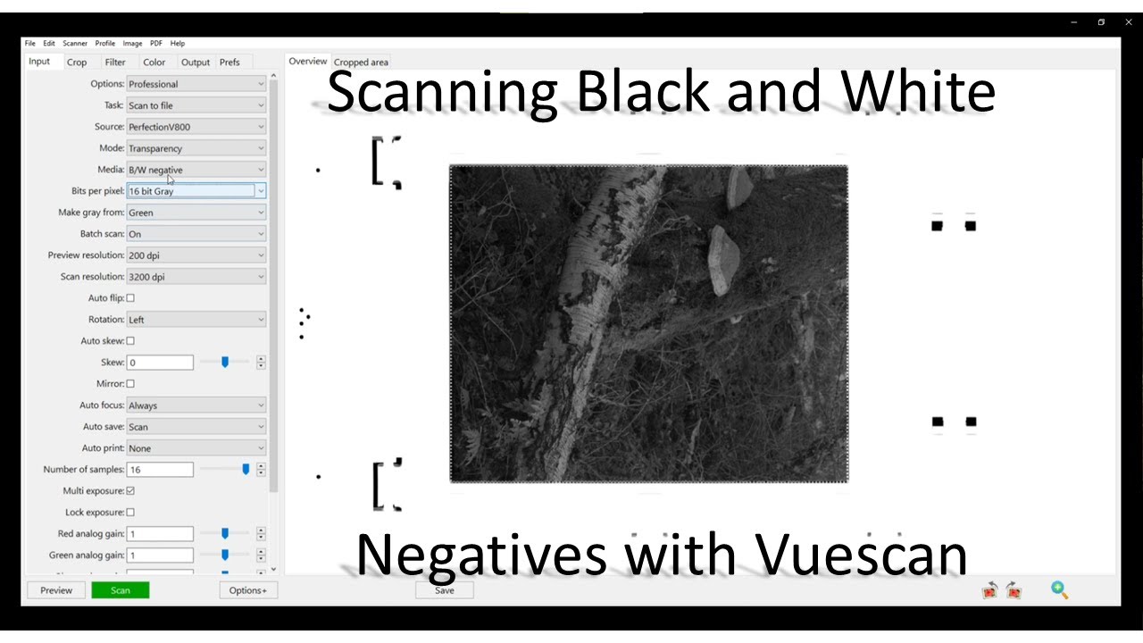 Scanning B+W Negatives with Vuescan YouTube