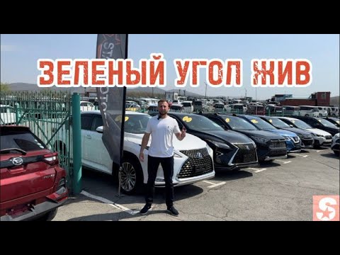 Видео: АВТОРЫНОК"ЗЕЛЕНЫЙ УГОЛ"ЖИВ.