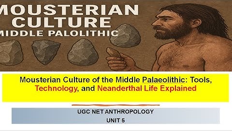 Mousterian Culture of the Middle Palaeolithic | Neanderthal Tools, Technology & Lifestyle Explained