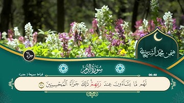 039  سورة الزمر  قراءة سريعة  هيمن محمد الشيخاني
