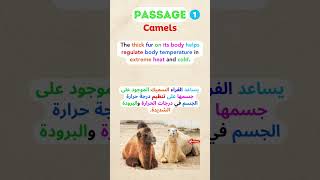English Reading passages 1: Camels نصوص انجليزية للقراءة: الجمل