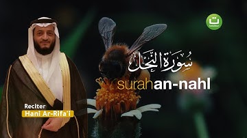Tadabbur Surah An-Nahl سورة النحل - Hani Ar-Rifa'i | Tadabbur Daily