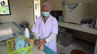 Microbiology Lab: Experiment 1 (Media Preparation)