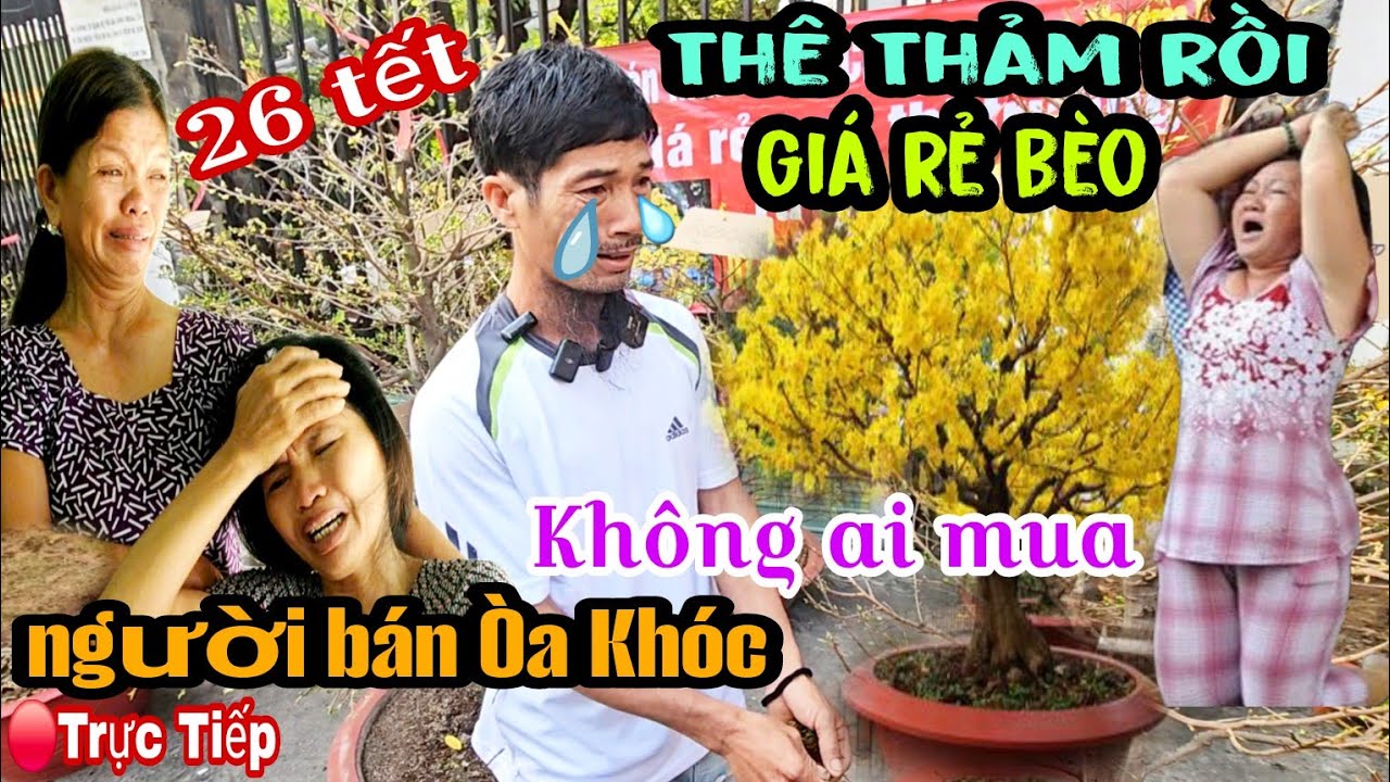 Vỡ Trận Thật Rồi Người Dân Khóc Ngất Xỉu Luôn Chợ Hoa Tết Sài Gòn Ngay Lúc Này