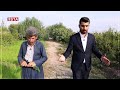 جووتیارە نمونەییەکەی هەڵەبجە تاقیکردنەوەیەکی نوێی خۆی ئاشکرا دەکات جووتیارە نمونەییەکەی هەڵەبجە تاقیکردنەوەیەکی نوێی خۆی ئاشکرا دەکات