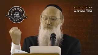 פרשת נח | פרשת השבוע | הרב סטבסקי | בית הבעל שם טוב