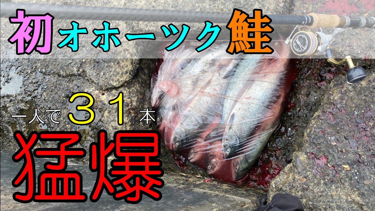 初のオホーツク鮭に挑戦したら猛爆した【鮭釣り】【アキアジ】