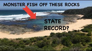 The most unexpected catch ever | State Record Fish? CATCH n COOK!!