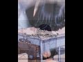 وضعي Bts Straykids Kpop Plakpink بوب عصابه اڨينو الايجنغ وضعي Bts Straykids Kpop Plakpink بوب عصابه اڨينو الايجنغ