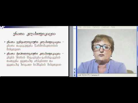 ქართული ენის ზოგ. კურსი, ლექცია 1-2