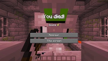 POV: You are a silverfish spawner