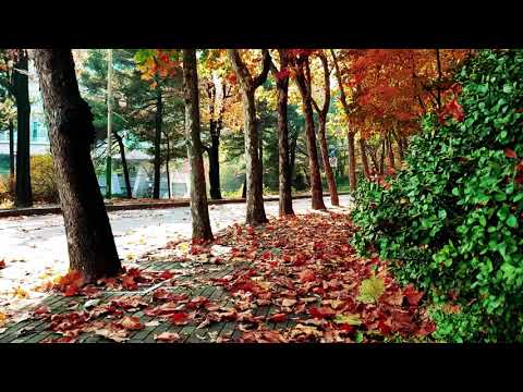 사랑이지나가면 이문세 FHD60