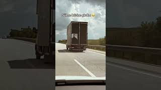 Yurdum Insanı Şaşırtmıyor