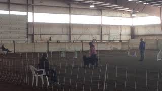 Java & Lois USRVDTC April 2019 Sunday JWW