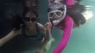【蘭嶼】東清秘境+貯存場浮潛+藍洞潛水