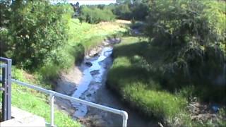 Vikings Modern Sculpture Commemorates History In Benfleet