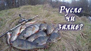 ОКУНЬ ПО ХОЛОДНІЙ ВОДІ З БЕРЕГА! ПОШУК РИБИ! ПСЕЛ/СІТКИ/МДЖ