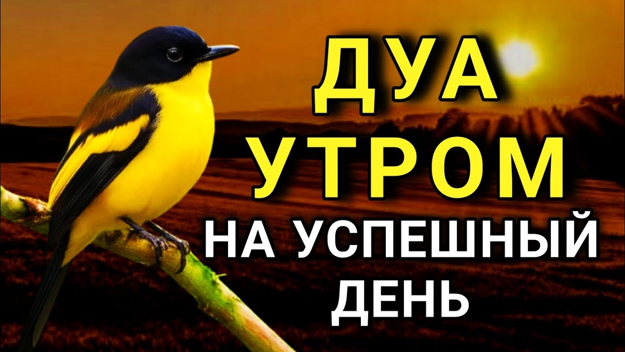☝️ ДУА УТРОМ САМЫЙ МОЩНЫЙ СТАРТ ДНЯ! 🤲🔑✨💯
