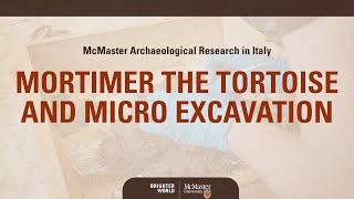 McMaster Metaponto Project: "Mortimer" the tortoise and microexcavation