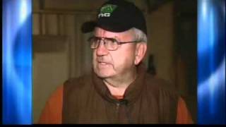 Mine That Bird returns to Roswell