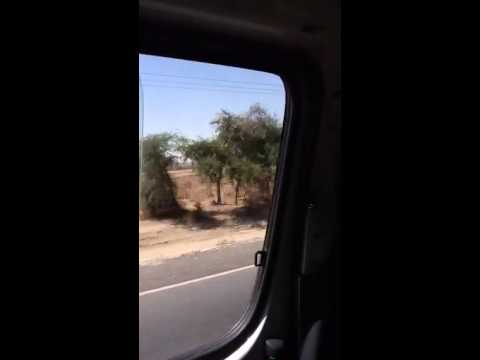 Arsi Negele Ethiopia 2012