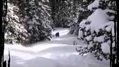 Fun skiing around Rocky Mountain National Park
