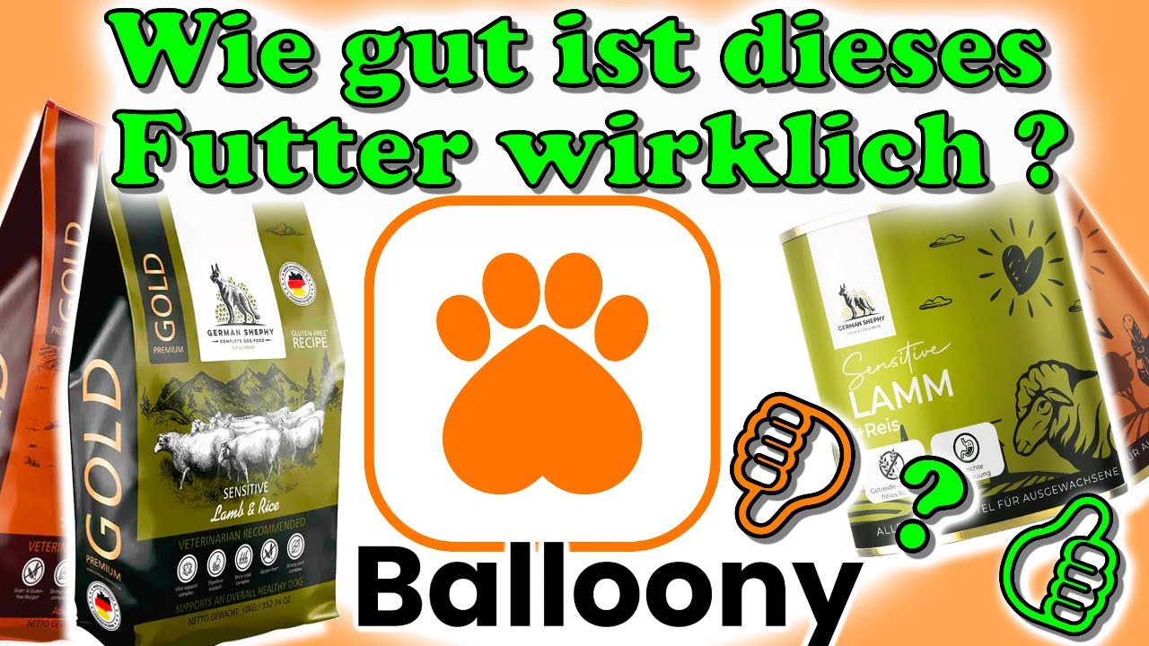 katze verweigert nassfutter Bio Katzen Nassfutter mit Ente & Süßkartoffel main image 1