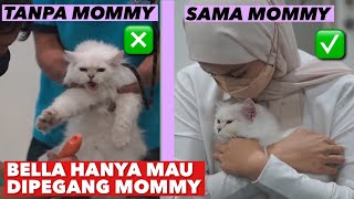 GROOMING KUCING TERNYATA GA GAMPANG GUYS! BELLA GALAK BGT!