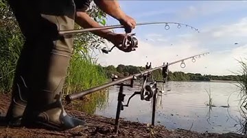 Carp Run COMPILATION 2022! PART 71!