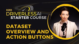 7. Dataset Overview and Action Buttons / DAI Starter Course