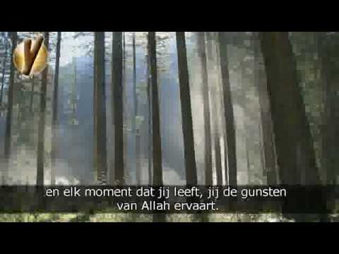 A peaceful life (arab spoken with dutch subtitles)