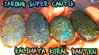 FOR SALE: BEAUTIFUL SUPER JARONG BANTEN CORAL OPAL WA 085781995551