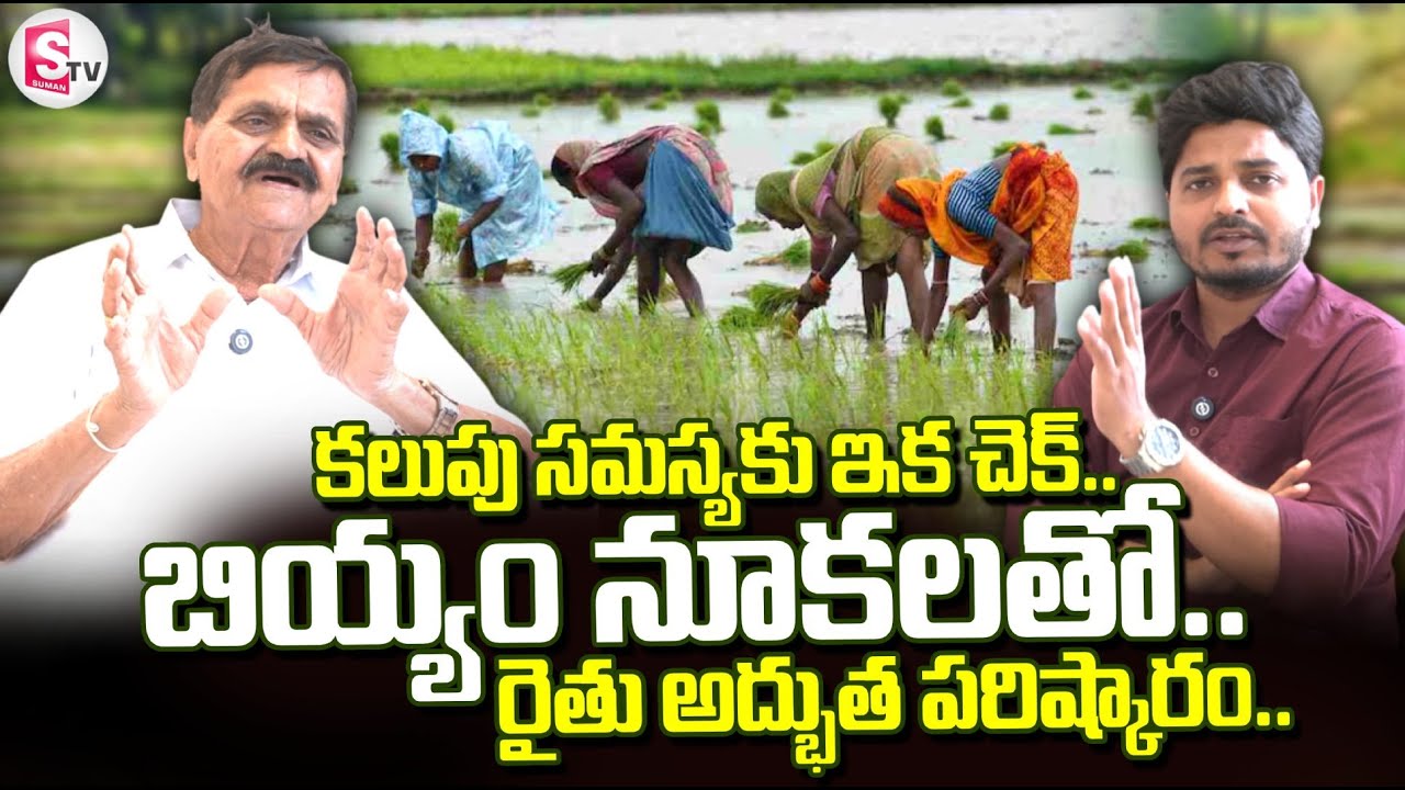 ఇక కలుపు సమస్యే ఉండదు..అద్భుత పరిష్కారం! | Paddy Cultivation | Chintala Venkata Reddy | SumanTV Sai