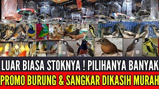 🔴 TERBARU HARI INI SUPER MELIMPAH STOKNYA PROMO BURUNG & SANGKAR 0838-7553-6945