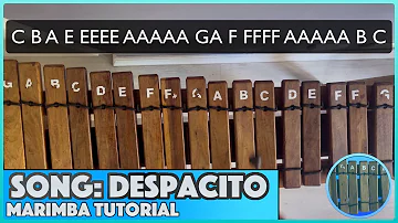 Learn How To Play Despacito On The Marimba | Tutorial