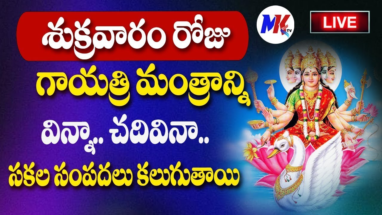 LIVE🔴శుక్రవారం 
