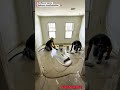 stunning high-gloss 3D sunflower epoxy floor