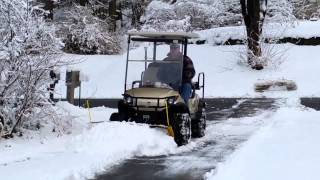 Yamaha G29 Drive Snow Plow