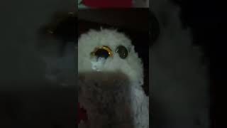casi búho nival bebé muere