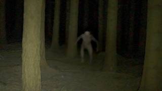 Beyond The Forest | Short Horror Film