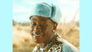 Tyler the creator - sorry not sorry but I did a funny also its my birthday mmmmmm