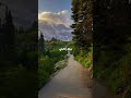 وينك يماليني وحشة بغربة سنيني